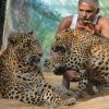 Anandvan Hemalkasa Somnath Tadoba